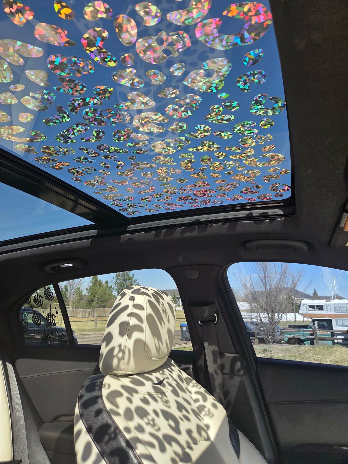 Leopard/Skull Sunroof Vinyl Decal