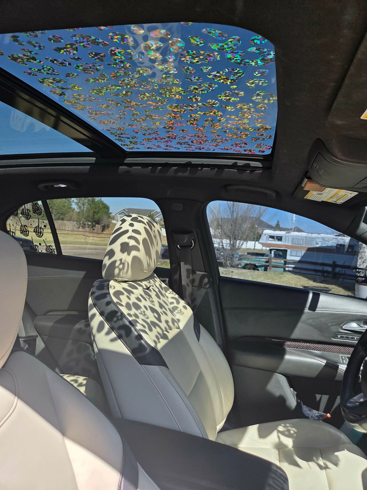 Leopard/Skull Sunroof Vinyl Decal